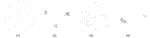 Human perception of swarm fragmentation